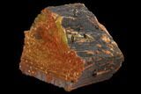 Thick, Polished Petrified Wood Section - Arizona #129455-2